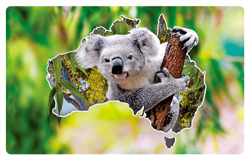 wb3d-103-0006-koala-australia