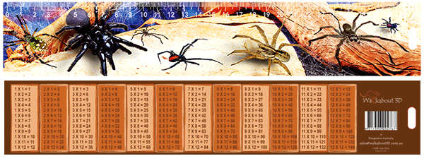 WB3D-104-0019 SPIDERS