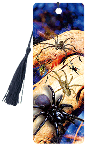 wb3d-105-0019-spiders